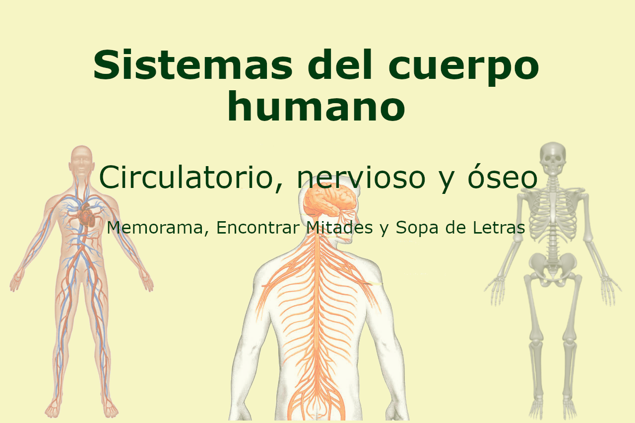 Paquete Sistemas del Cuerpo