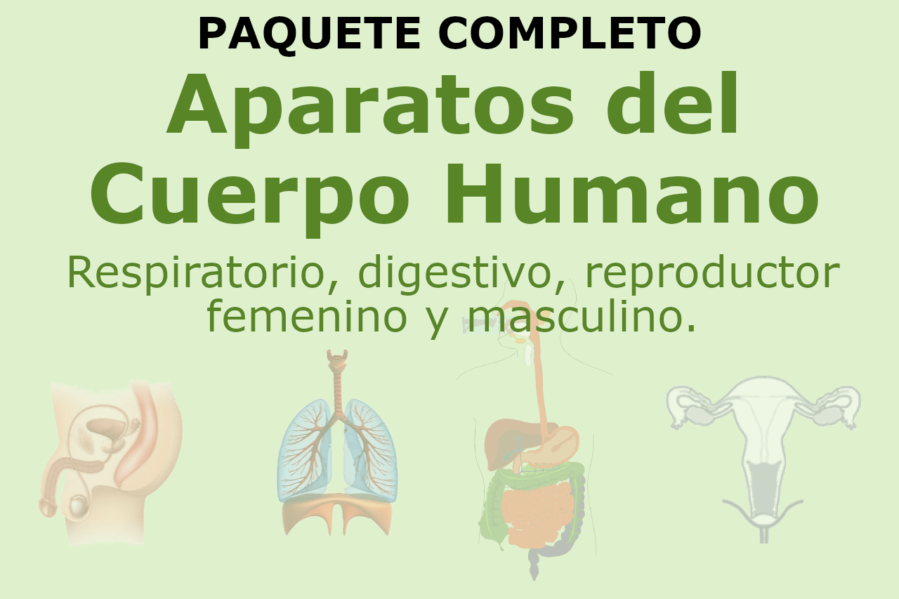 Paquete Aparatos del Cuerpo Humano